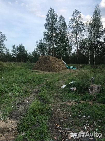 Продам сено в рулонах