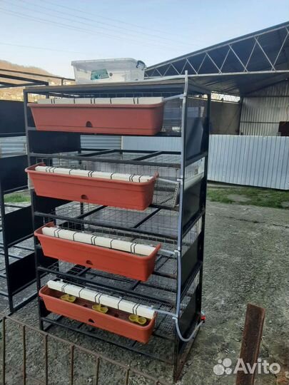 Клетка для перепелов 4 ярусная