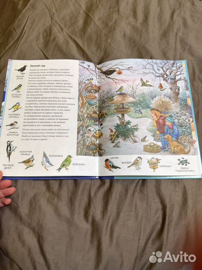 Зима Находилки Развивалки Бьянка