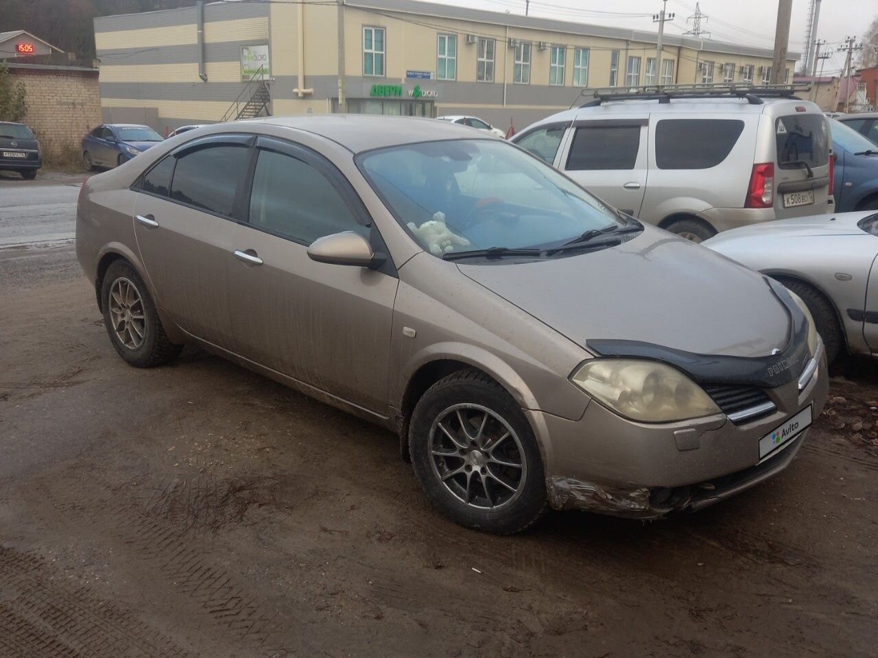 Nissan Primera: фото владельца