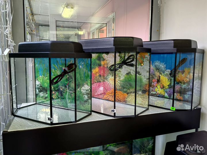 Аквариум