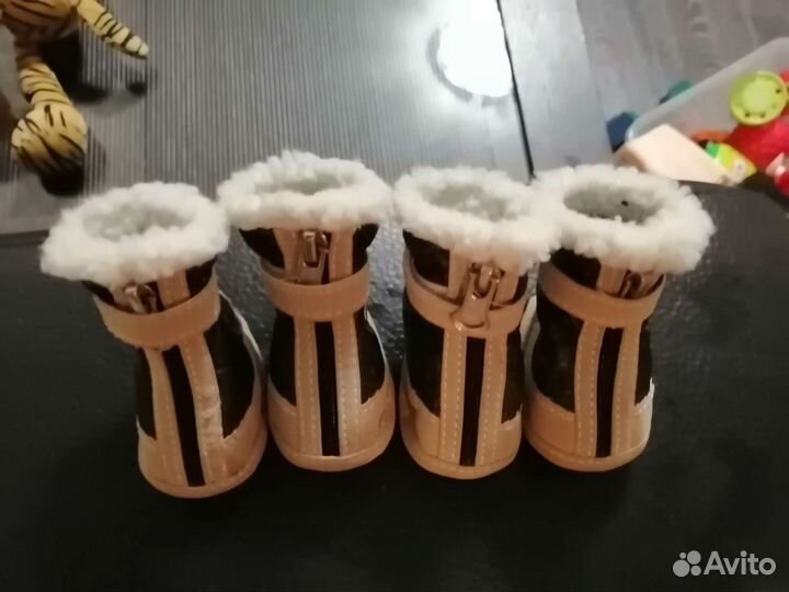 Обувь для маленьких собак