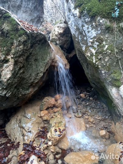 Конные прогулки, Квадропрокат,Пешие экскурсии