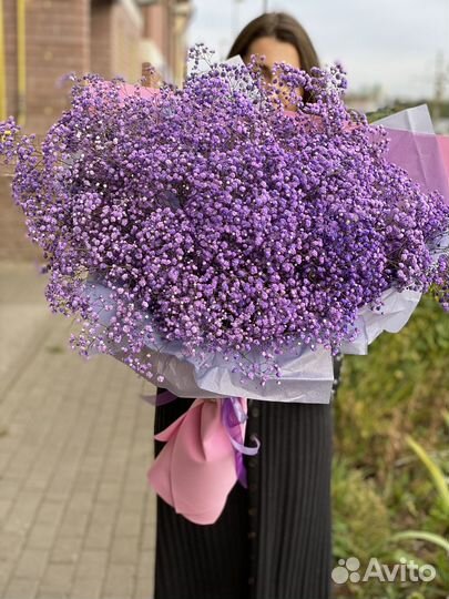 Гипсофила - вечный букет