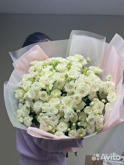 51 Кустова роза