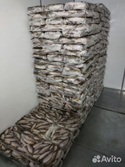 Продам пелядь с/м