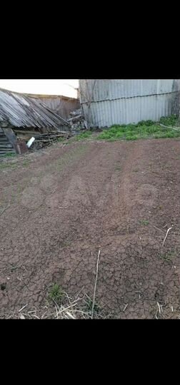 Дом 36 м² на участке 38 сот.