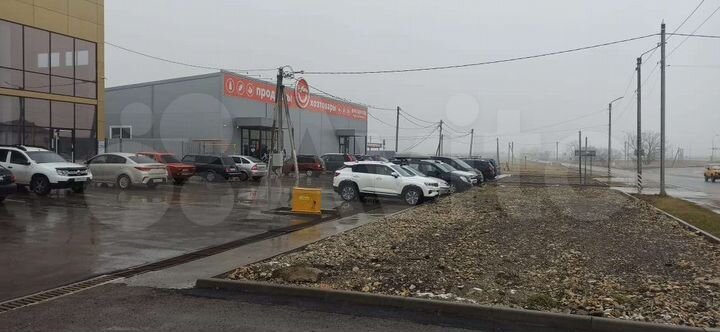Торговая площадь, 1240 м²