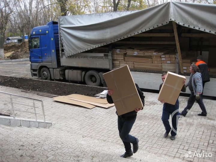 Грузчики на час