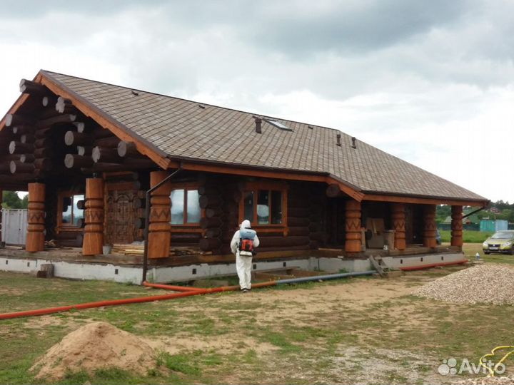 Обработка от короеда