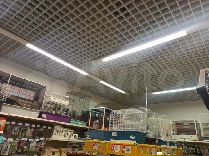 Свободного назначения, 246 м²