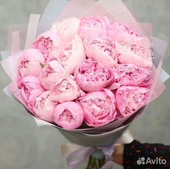 Пионы Цветы Доставка