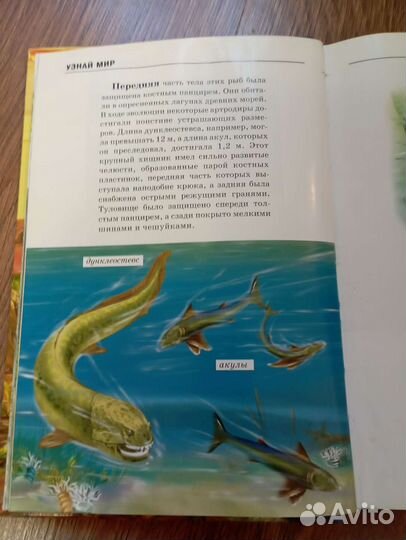 Книга детская динозавры