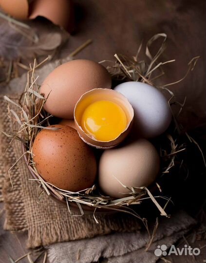 Молочные продукты