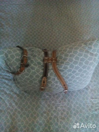 Шлейка для крупных пород собак