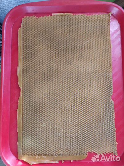 Форма матрица для литья вощины