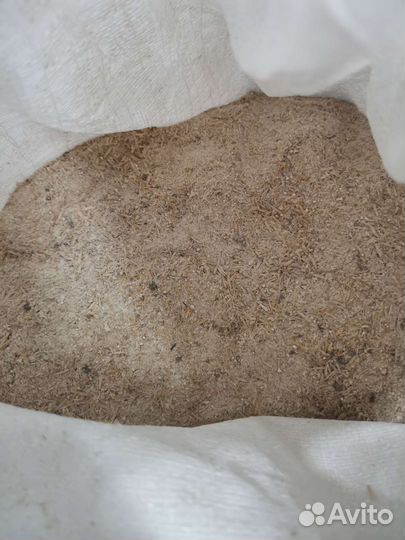 Овес ячмень пшеница просо пшено горох и т.д