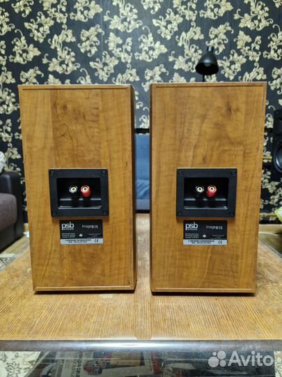 Акустические колонки PSB b15