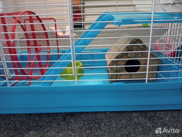 Клетка для хомяка