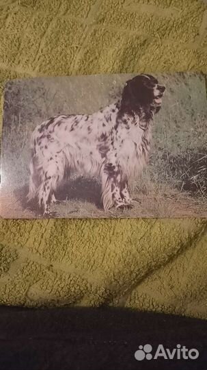 Открытки СССР