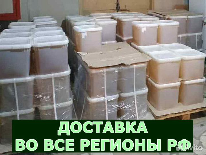 Мёд оптом с Алтая в Домодедово