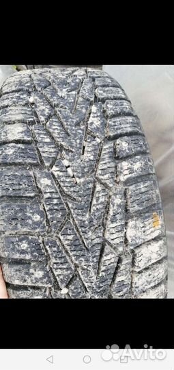 Nordman 7 205/60 R16