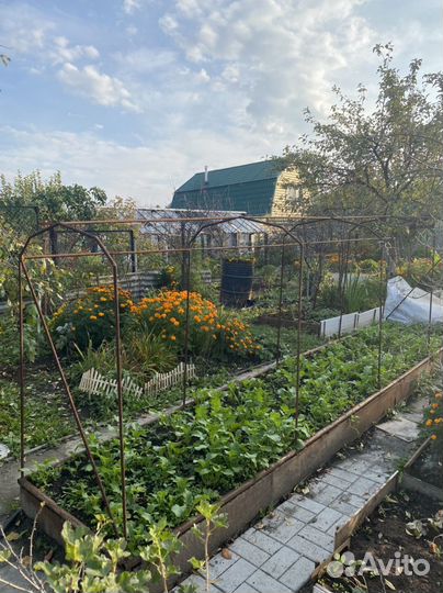 Парники металлические