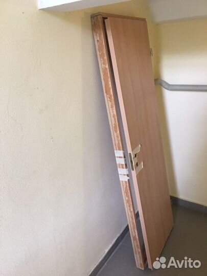 Дверное полотно 65