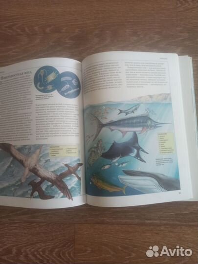 Иллюстрированная энциклопедия школьника