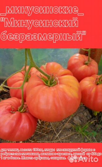 Семена урожайных сортов