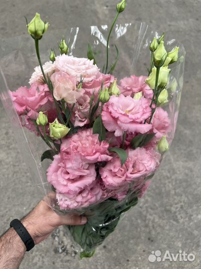 Эустома китайская роза