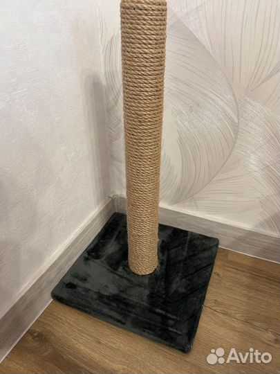 Когтеточка