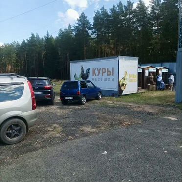 Магазин живой птицы