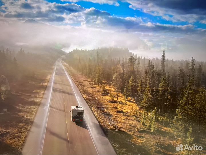 Телевизор TCL 85