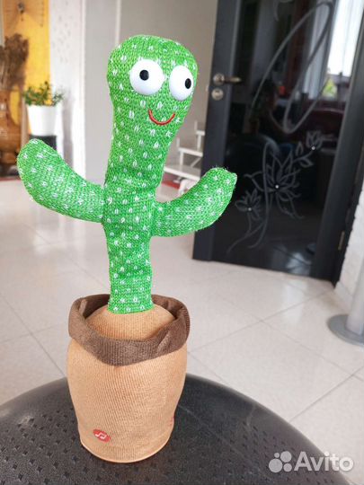 Танцующий кактус новый