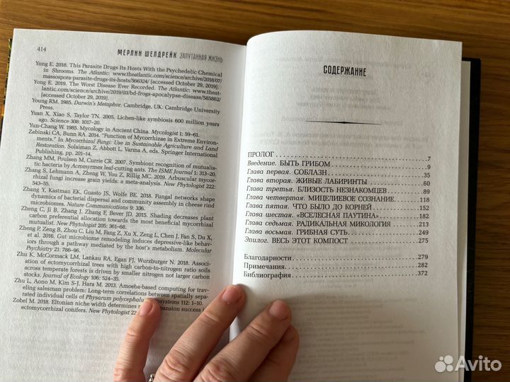 Книга Запутанная жизнь Мерлин Шелдрейк