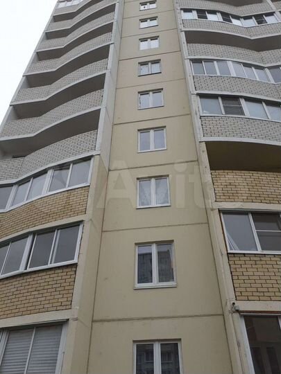 2-к. квартира, 50,8 м², 2/16 эт.