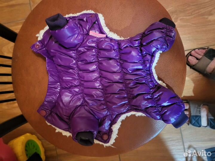 Курточка для собак мелких пород