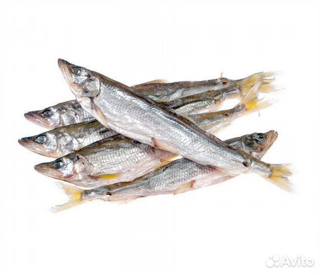 Корюшка зубарь вяленая