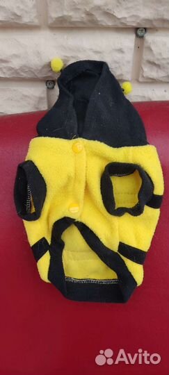 Одежда для собак