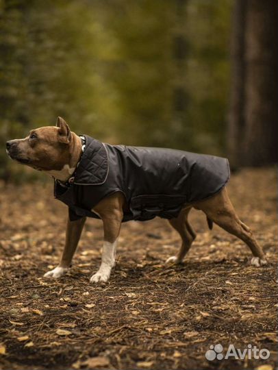 Попона куртка для собак