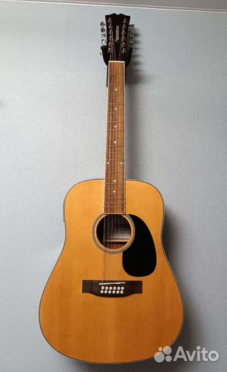 12 струнная электроакустическая гитара