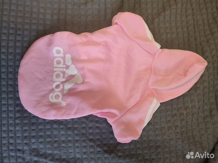 Новая кофточка для собаки