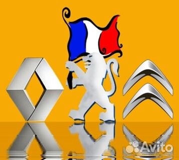 Renault. Peugeot ремонт бл.упр, иммобилайзера