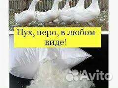 Прием подушек и перин