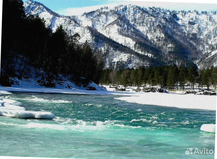 Тур путевка Алтай зимний экскурсия 4-7 дней