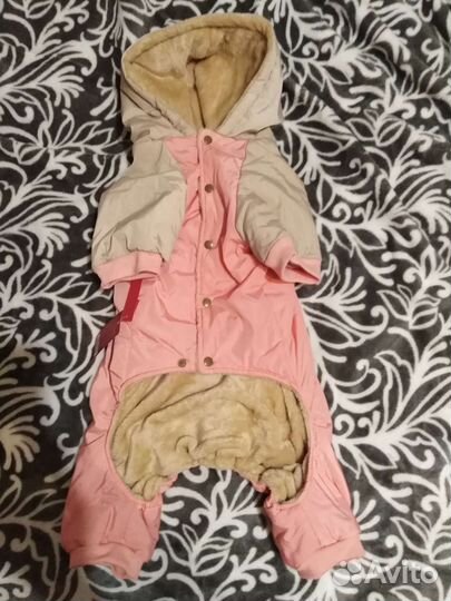 Одежда для большой собаки