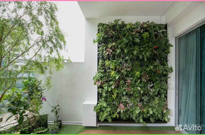 Фитокартина для природного уюта Арт: 214728