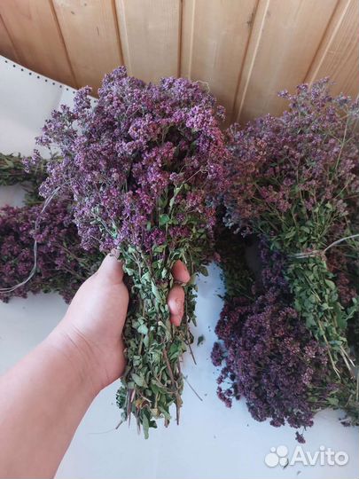 Трава душица