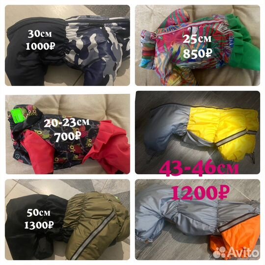 Одежда для собак